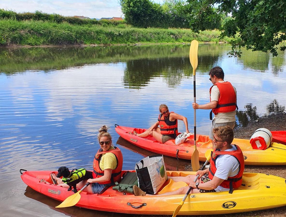 Camping Des 2 Rives- Mobilhomes Etang-sur-Arroux Kültér fotó